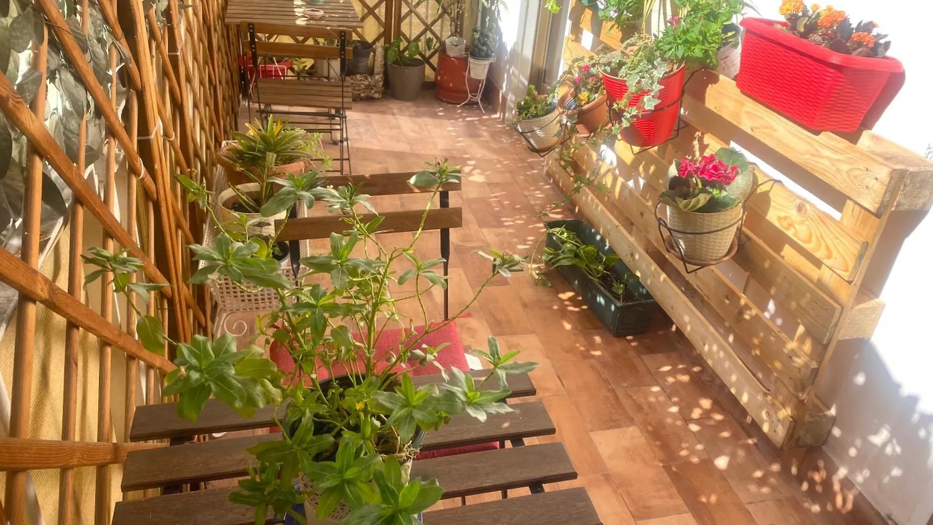 Bed and Breakfast Lealbe Di Sicilia Palermo 0*,  Włochy