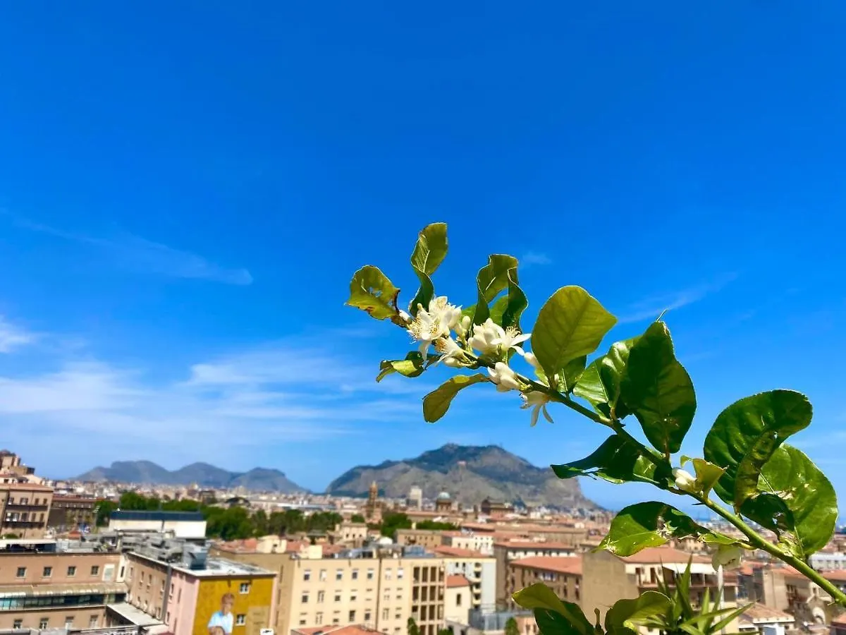 Lealbe Di Sicilia Bed and Breakfast Palermo 0*,